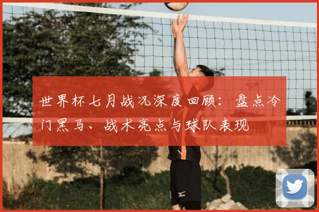 世界杯七月战况深度回顾:盘点冷门黑马、战术亮点与球队表现